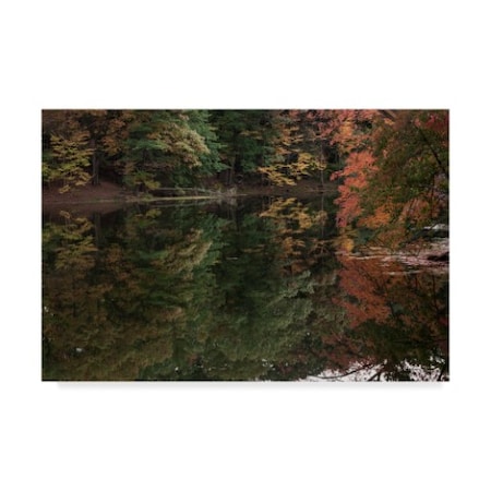 Anthony Paladino 'Autumn Foliage With Water Like Glass' Canvas Art,30x47